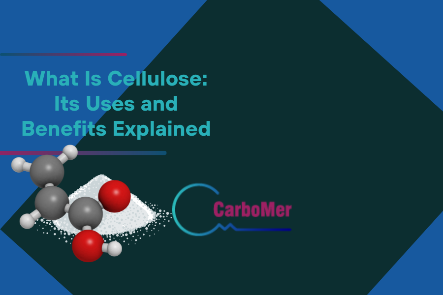 What Is Cellulose Its Uses and Benefits Explained